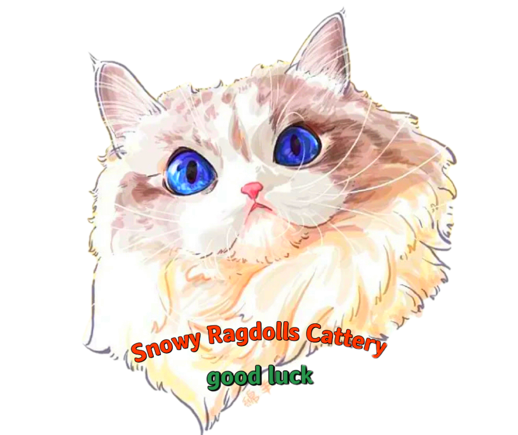 Snowydolls Cattery